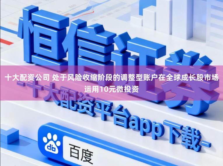 十大配资公司 处于风险收缩阶段的调整型账户在全球成长股市场运用10元微投资