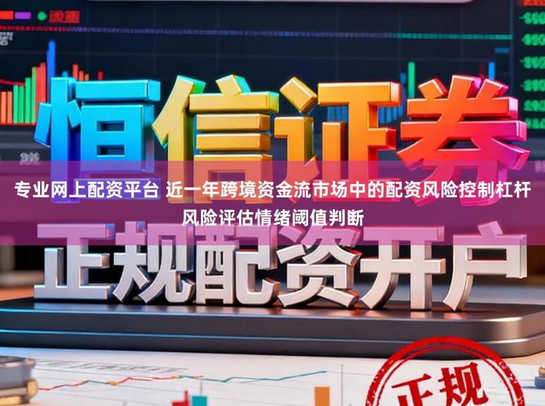 专业网上配资平台 近一年跨境资金流市场中的配资风险控制杠杆风险评估情绪阈值判断