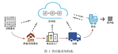 基于区块链的食品安全溯源系统