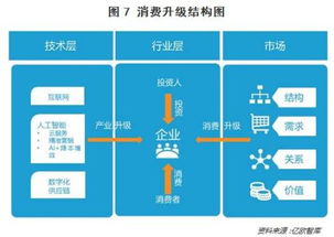 李涛 双11你在买买买 别人看的却是背后的投资机会