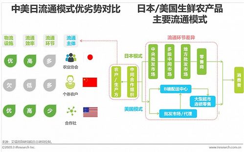 2020年中国生鲜农产品供应链研究报告 生鲜电商加快流通体系优化进程